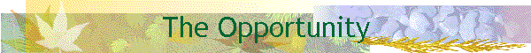 The Opportunity